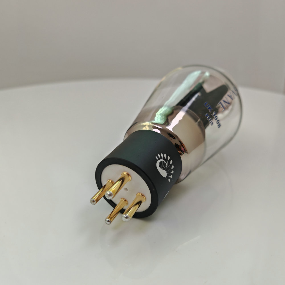 PSVANE UK300B-PLUS Vacuümbuis  - Diy Electronics Uk recensie en prijs
